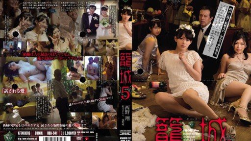  Everything You Wanted To Know About Mẹ Kế Của Tôi Sho Nishino And Were Too Embarrassed To Ask